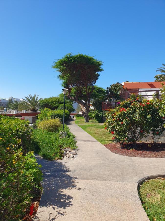 Casa Panorama 314 San Agustin Maspalomas Exteriör bild
