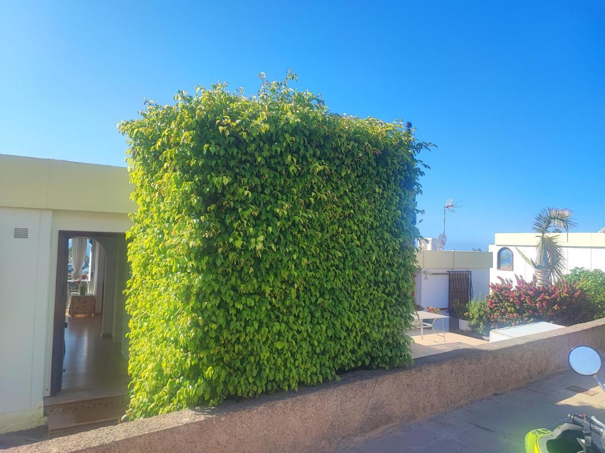 Casa Panorama 314 San Agustin Maspalomas Exteriör bild